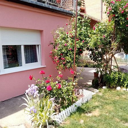 Apartman Vesna Ovcar Banja Ngoại thất bức ảnh